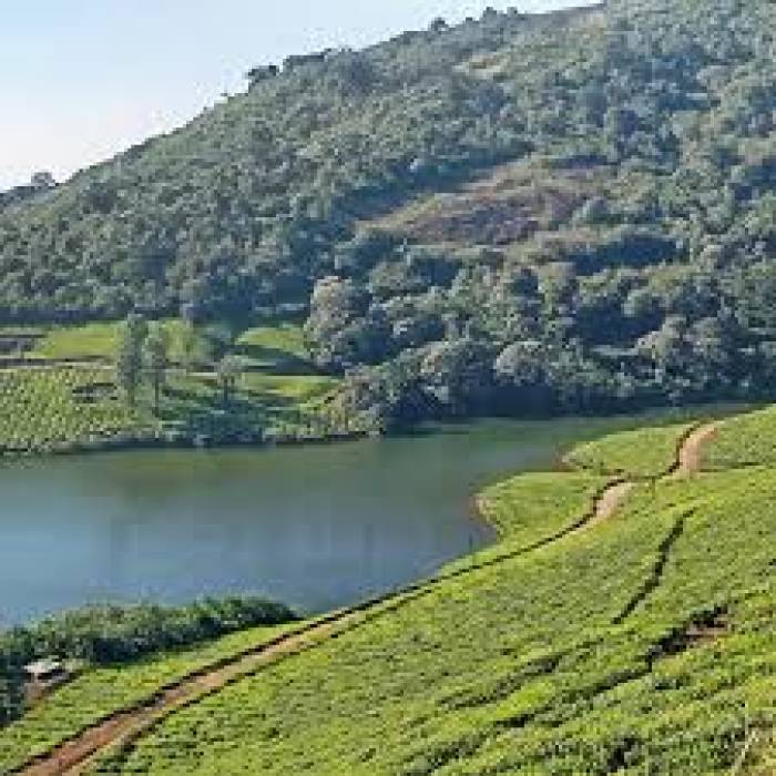 ராஜபாளையம், ஸ்ரீவில்லிபுத்துார் வனச்சரக ,வனப்பகுதிகளுக்கு செல்லும் பாதைகளில் வனவிலங்கு வேட்டையை கட்டுப்படுத்த சோதனை சாவடி.