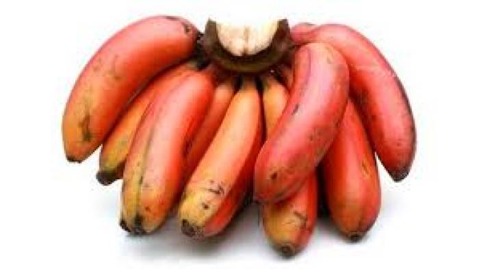 சிறுநீரகத்தில் கற்கள் உருவாகாமல் தடுக்கும் செவ்வாழை .