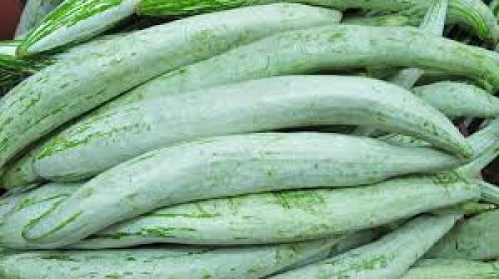 புடலங்காய் சாப்பிட்டால் நெஞ்செரிச்சல் பிரச்சனை தீரும்.