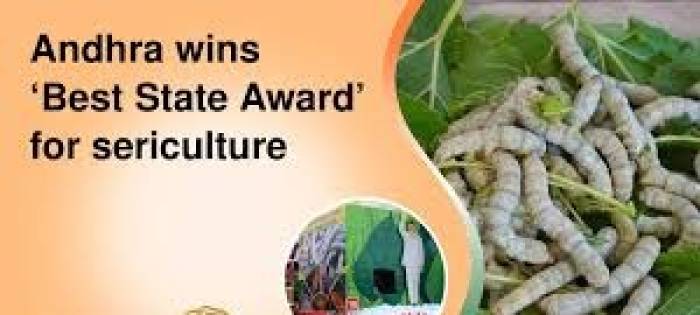 பட்டு வளர்ப்புக்கான'சிறந்த மாநில விருதை' ஆந்திரா வென்றது.