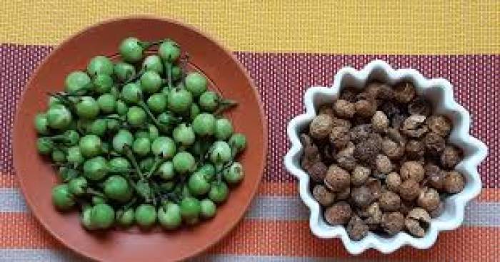 ஊட்டச்சத்துக்கள் நிறைந்துள்ள சுண்டக்காய்.