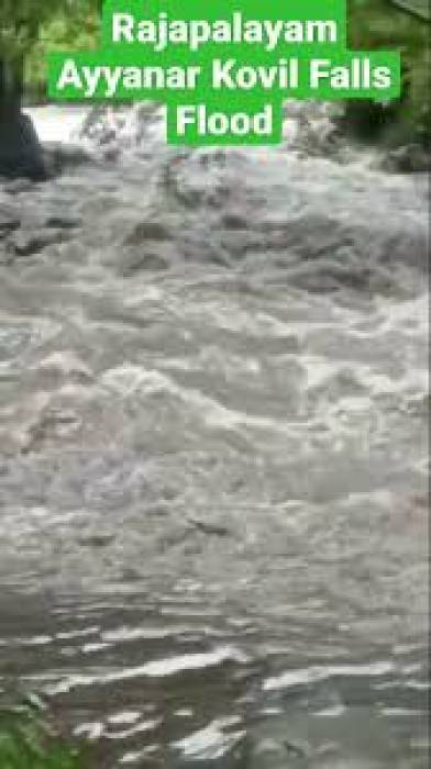அய்யனார் கோயில் ஆற்றில் கனமழையால் வெள்ளப்பெருக்கு. 