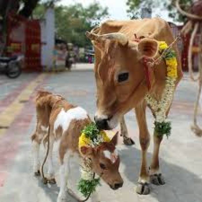நாம் இறந்த பிறகும் புண்ணியம் தரும் தானம் எது தெரியுமா?.
