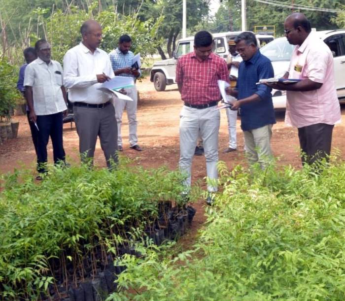 திருவில்லிபுத்தூர் நகராட்சி பகுதிகளில் நடைபெற்றுவரும் பல்வேறு அரசு திட்டப்பணிகளை மாவட்ட ஆட்சித்தலைவர் அவர்கள் நேரில் சென்று பார்வையிட்டு ஆய்வு செய்தார்.
