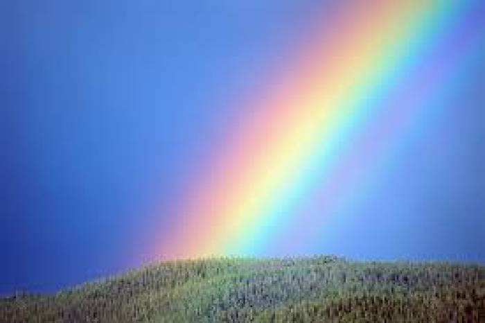 செஸ் விளையாட்டு தோன்றிய நாடு,