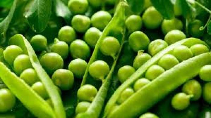 உடலுக்குச் சக்தியைத் தரும் பச்சைப் பட்டாணி.