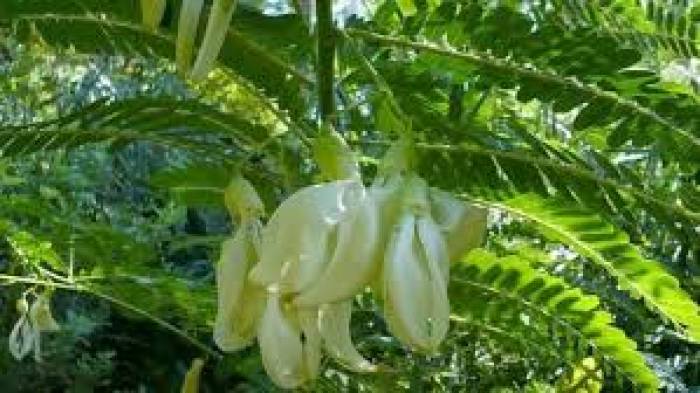 உணவுப் பழக்கம் பழமொழி வடிவில். NO -3