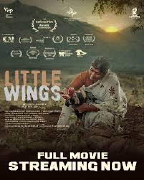 யுடியூப்பில் வெளியான 'லிட்டில் விங்ஸ்' தேசிய விருது பெற்றது.