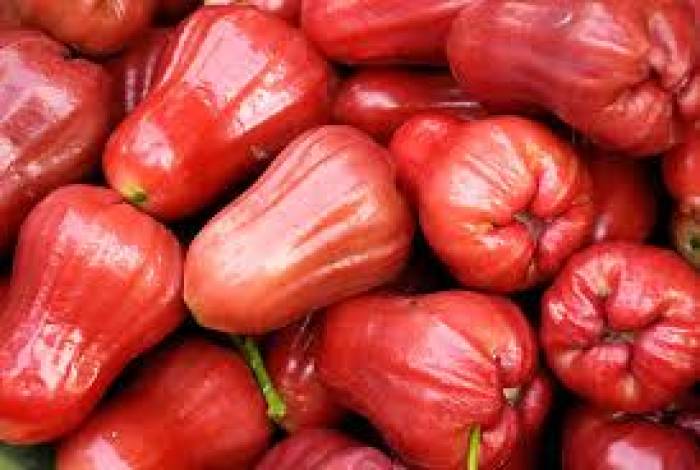 வெயில் காலத்தில் நன்மை தரும் வாட்டர் ஆப்பிள் (Water Apple).