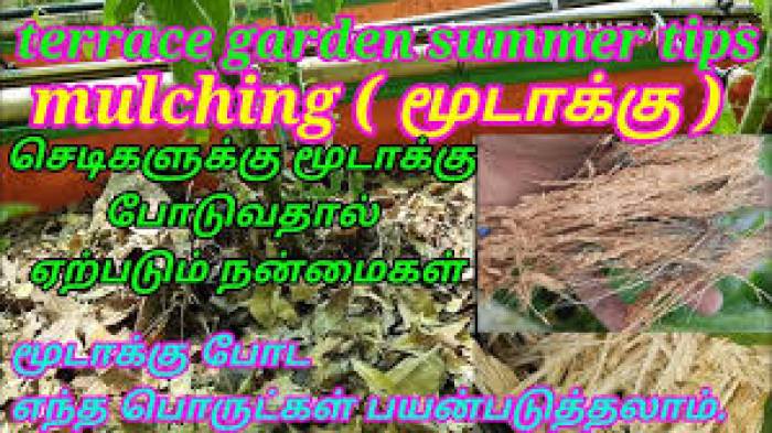.வெயிலில் செடிகளை காப்பாத்த….