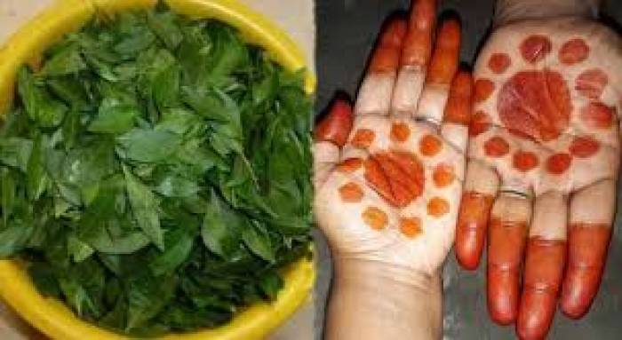 மருதாணி வைக்கும் போது கட்டாயம் பின்பற்ற வேண்டியவை.