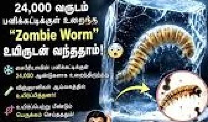 இயற்கையின் அதிசயம்.