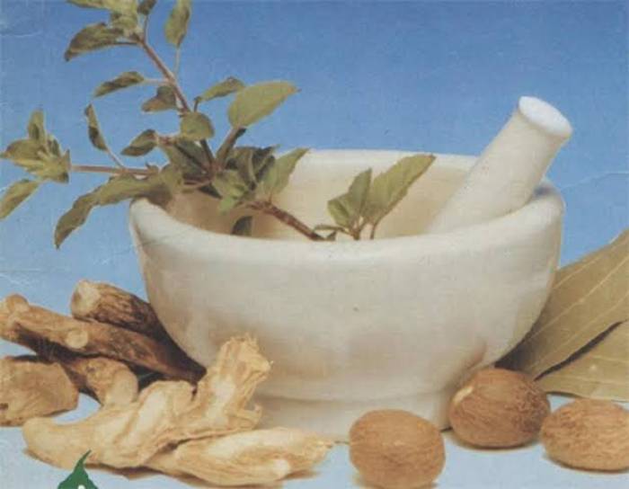 இஞ்சி, சுக்கு, கடுக்காய் – பாரம்பரிய மருத்துவத்தில் முக்கிய இடம்.