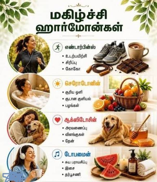 மகிழ்ச்சியை அதிகரிக்கும் 4 ஹார்மோன்கள்... இயற்கையே சிறந்த மருந்து!