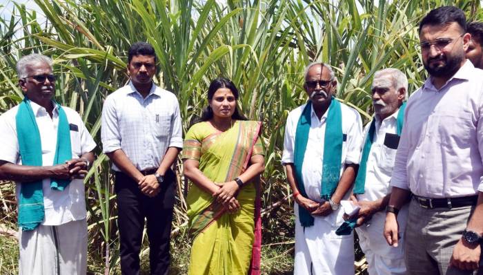 தமிழ்நாடு முதலமைச்சர் திரு. ச. ஜோசப் விஜய் அவர்களுக்கு ஊக்கத்தொகையினை உயர்த்தி அறிவித்தமைக்காக  சமூக நலன் மற்றும் மகளிர் உரிமைத்துறை அமைச்சர் அவர்களிடம் விவசாயிகள் நன்றிகளை தெரிவித்தனர்.