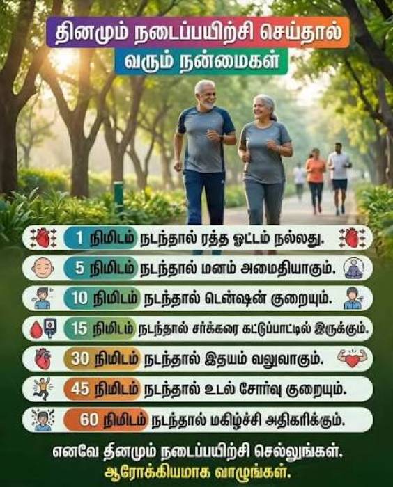 தினமும் நடைப்பயிற்சி செய்தால் இவ்வளவு நன்மைகளா? உடலுக்கு கிடைக்கும் முக்கிய பயன்கள்.