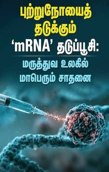 புற்றுநோய் மீண்டும் வருவதைத் தடுக்கும் mRNA தடுப்பூசி: புதிய ஆய்வு.
