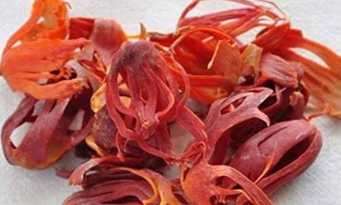 ஜாதிபத்திரி பற்றி தெரிந்து கொள்ள வேண்டியவை!