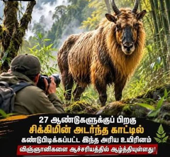 27 ஆண்டுகளுக்குப் பிறகு மீண்டும் கண்டுபிடிக்கப்பட்ட அரிய உயிரினம்.