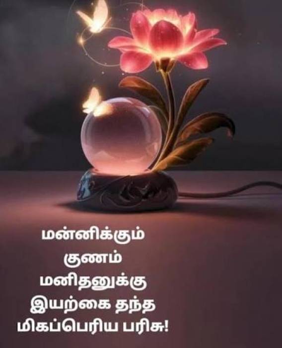 வெறுப்பை வளர்க்காதீர்கள் .